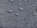 7c1a0b13e359b069131a48c8a3087dd4